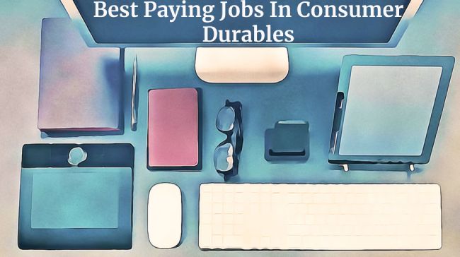 Best Paying Jobs In Consumer Durables